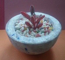 Handmade Marbled Concrete Plant Pot 