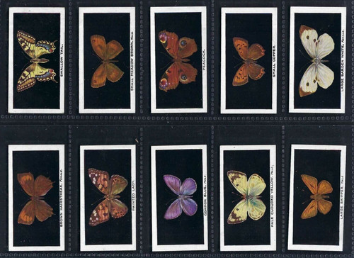 Abdulla british butterflies - abdulla,