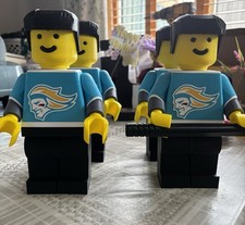 Belfast giants ice hockey - ice,