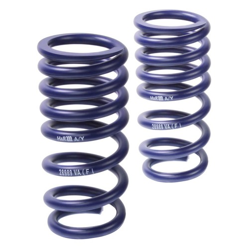 25mm lowering springs fits - h&r,