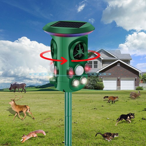 Cat deterrent heron - heron,