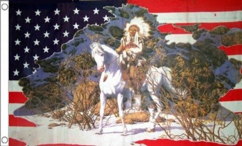 Indian chief horse flag - horse,