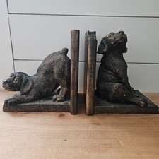 Labrador retriever puppies - labrador,