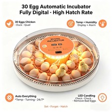 Incubators for hatching - incubators,