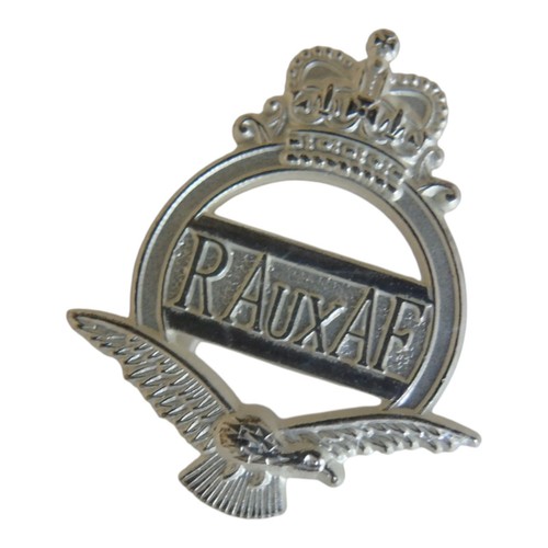 Royal auxiliary air force - auxiliary,