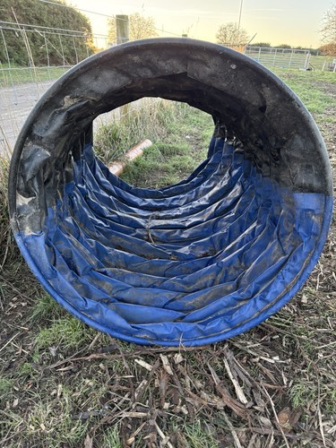 Dog hoopers tunnel from - tunnel,