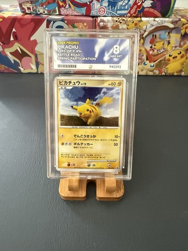 Pokemon pikachu battle - battle, road