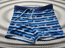 Boys Blue Swimming Trunks -