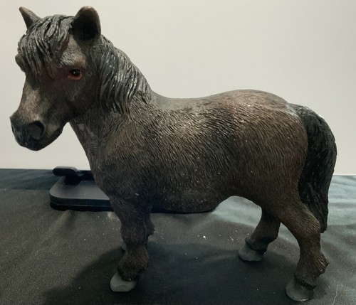 Dark brown shetland pony - shetland,