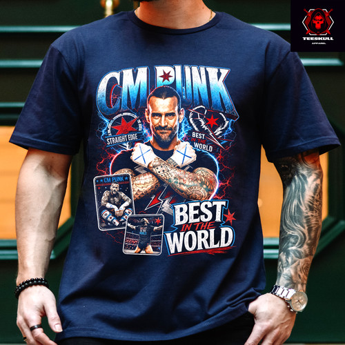 Wwe superstars punk best - superstars,