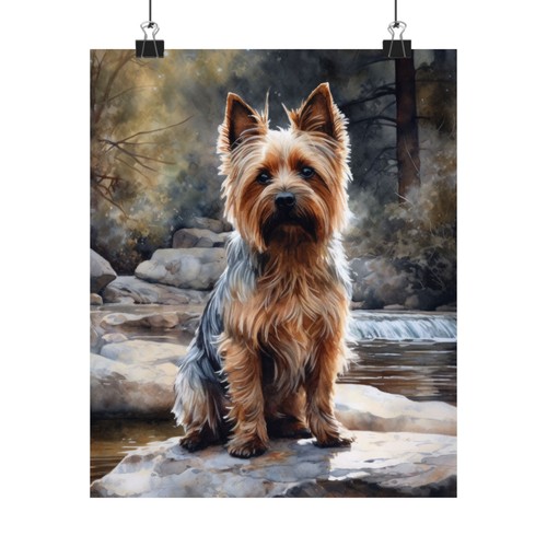 Silky terrier dog art - terrier,