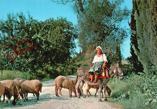Picture postcard corfu - picture, postcard: