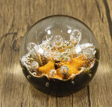 Caithness Seadance Paperweight