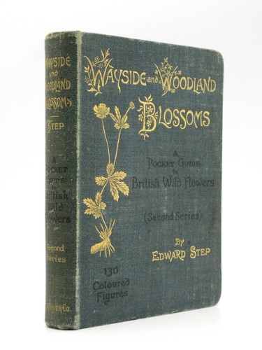 Wayside and woodland blossoms - wayside,