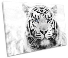 White Tiger Face Picture CANVAS WALL ART Print