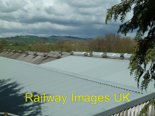 Photo carpet factory - -,
