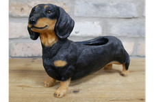 Sausage Dog Dachshund Garden