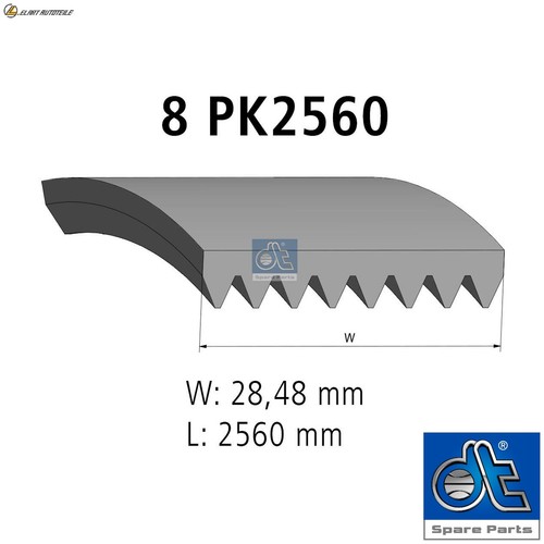 Ribbed belt 80736 - v-ribbed, for