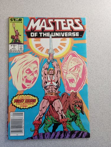 Masters the universe - the,
