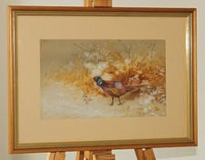 PHILIP RICKMAN (1891-1982) Framed Mixed Media Painting Cock Pheasant Game Bird