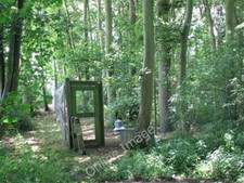 Photo 6x4 Game bird rearing