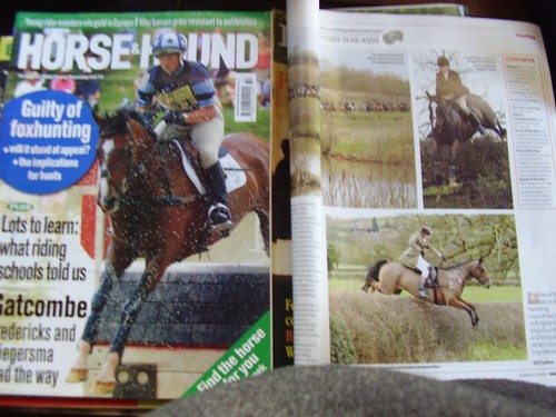 Job lot horse - lot, 26