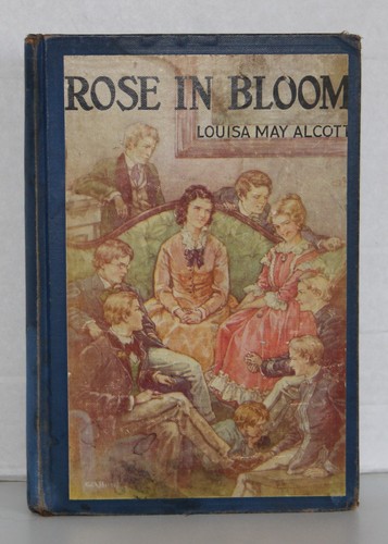 Rose bloom louisa - rose,