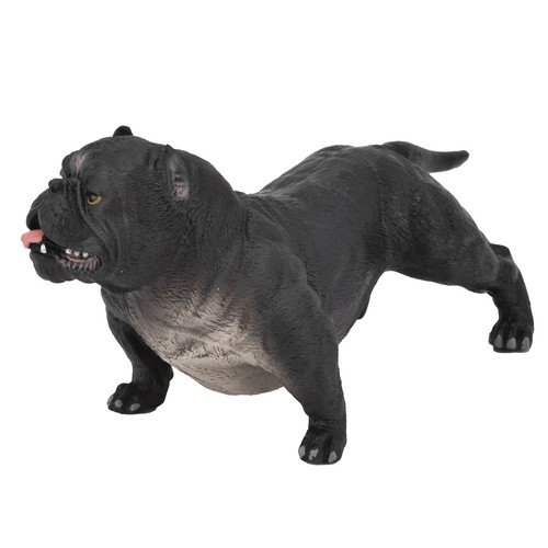 Bulldog model beautifully - bulldog,