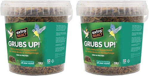 Grubs black soldier - up,