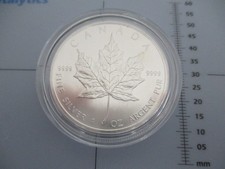 2013 Canadian Maple Leaf 1 oz Silver Collector Coin