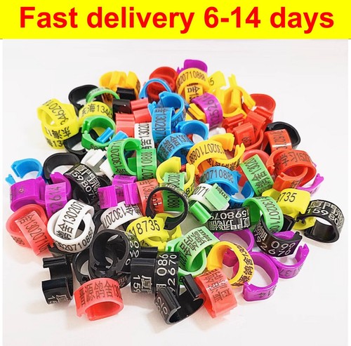 Customerized 100pcs birds - 100pcs,