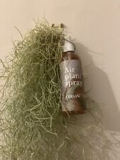LIVE SPANISH MOSS Tillandsia Usneoides 50-60cm PLUS Air Plant Spray Feed