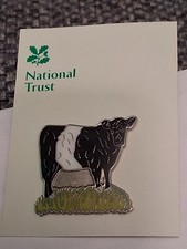 National Trust BOXHILL Belted