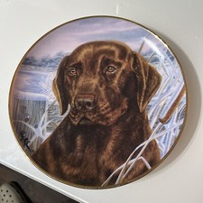 Chocolate Labrador FRANKLIN MINT AFTERNOON WATCH Limited Edition