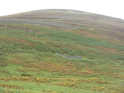 Photo sheep shelter - photo,