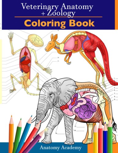 Veterinary zoology colouring - zoology,