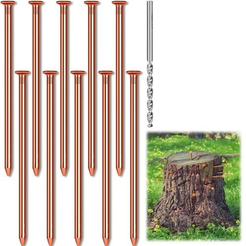 10pcs copper nails - nails, killing