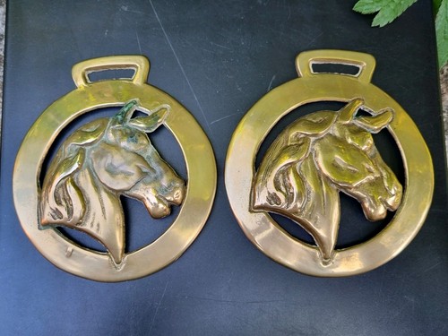 Large horse head - large,