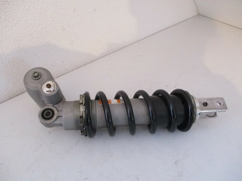 Shock absorber strut - , rear