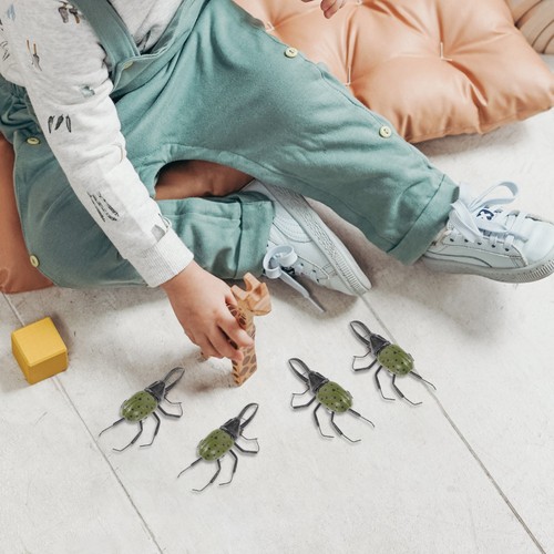 Pcs fake beetle cognition - fake,