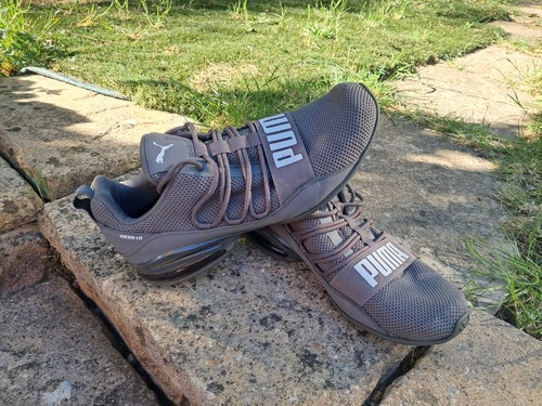 Puma mens cell regulate - puma,