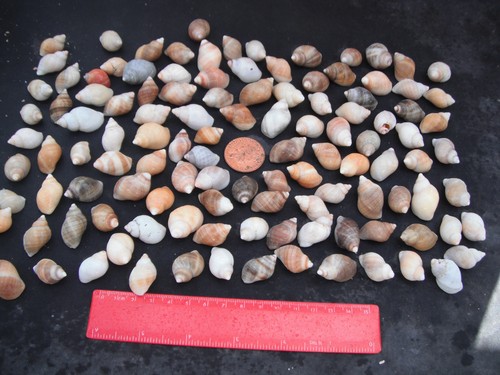 Job lot 120 wales - job,