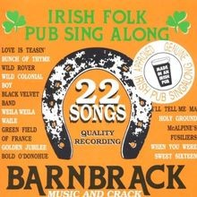 Irish folk pub sing along - folk,