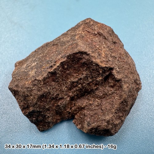 Common chondrite meteorite - h5,