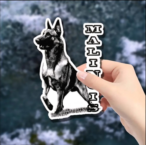 Malinois waterproof security - waterproof,