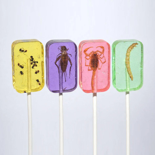 Potions cauldron creepy crawly - potions,