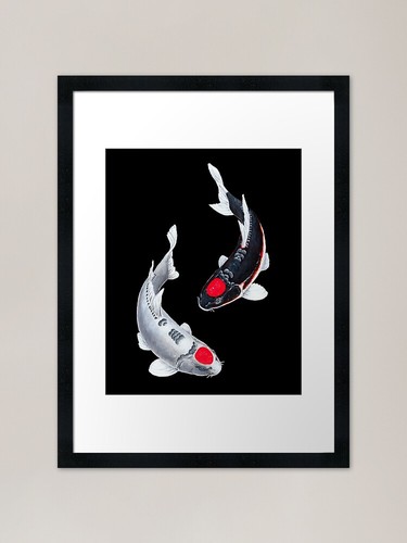Koi fish tancho black - tancho, white