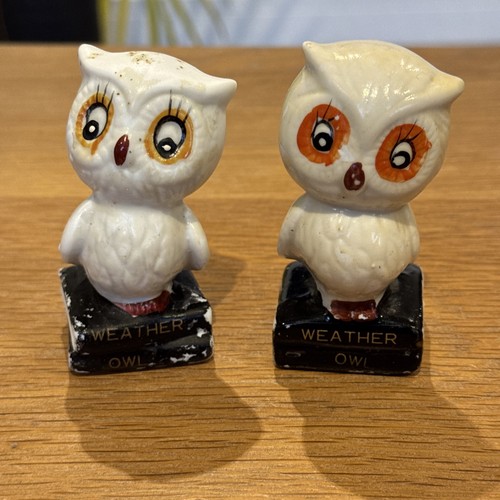 Pair vintage weather - of, owls