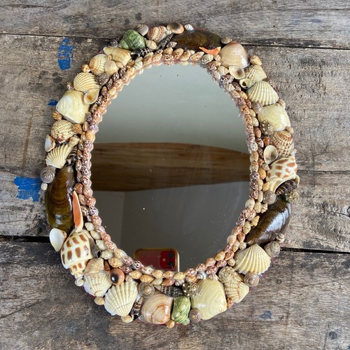 Vintage oval sea shell - oval,