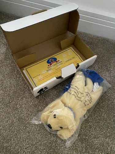 Andrex barney plush puppy - barney, dog